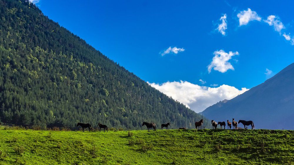 Безмятежность