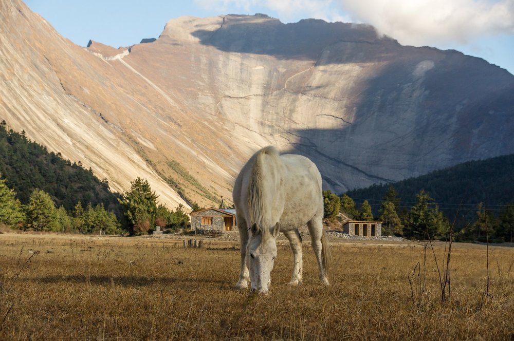 Photograph by Галина