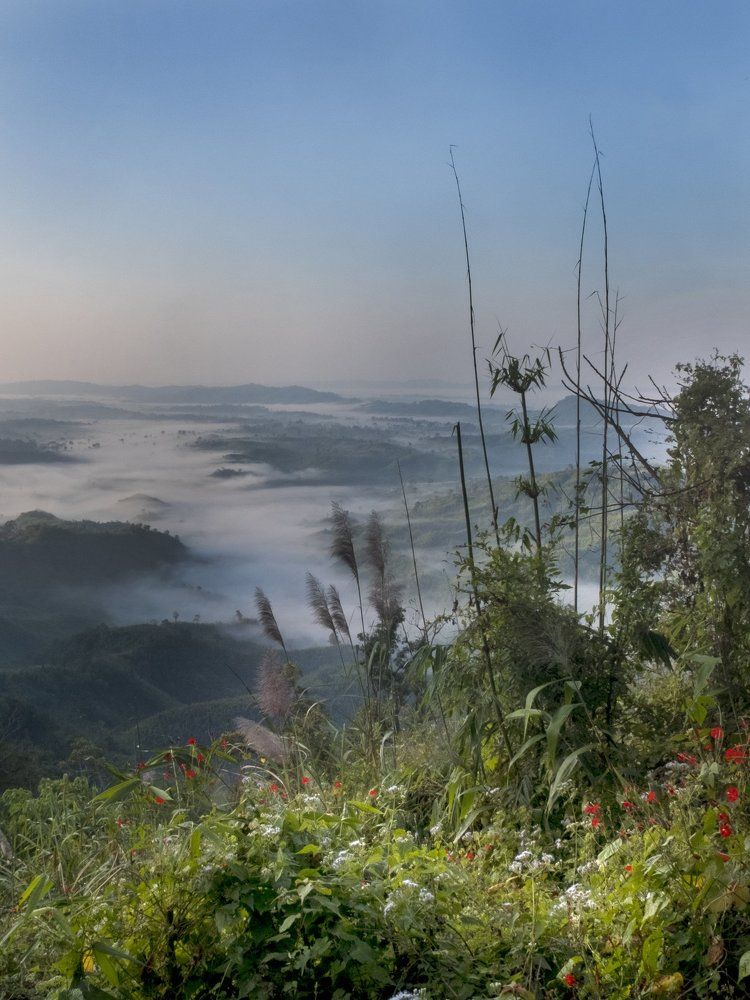 sajek landscape