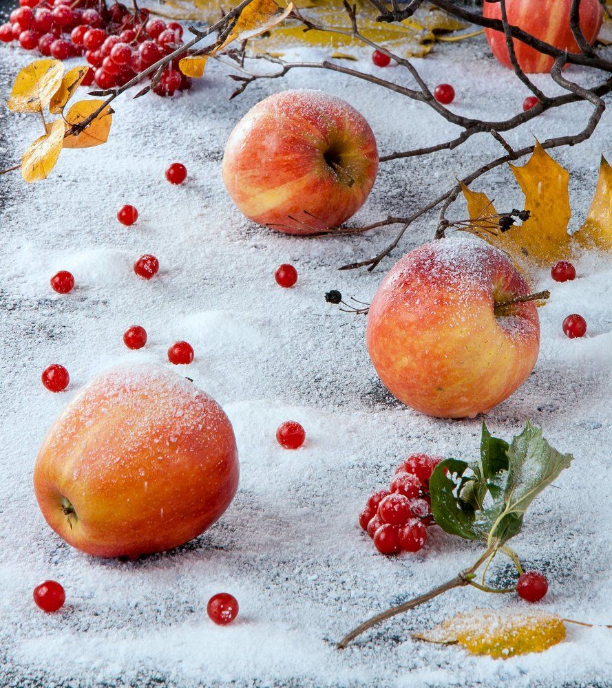 Яблоки на снегу