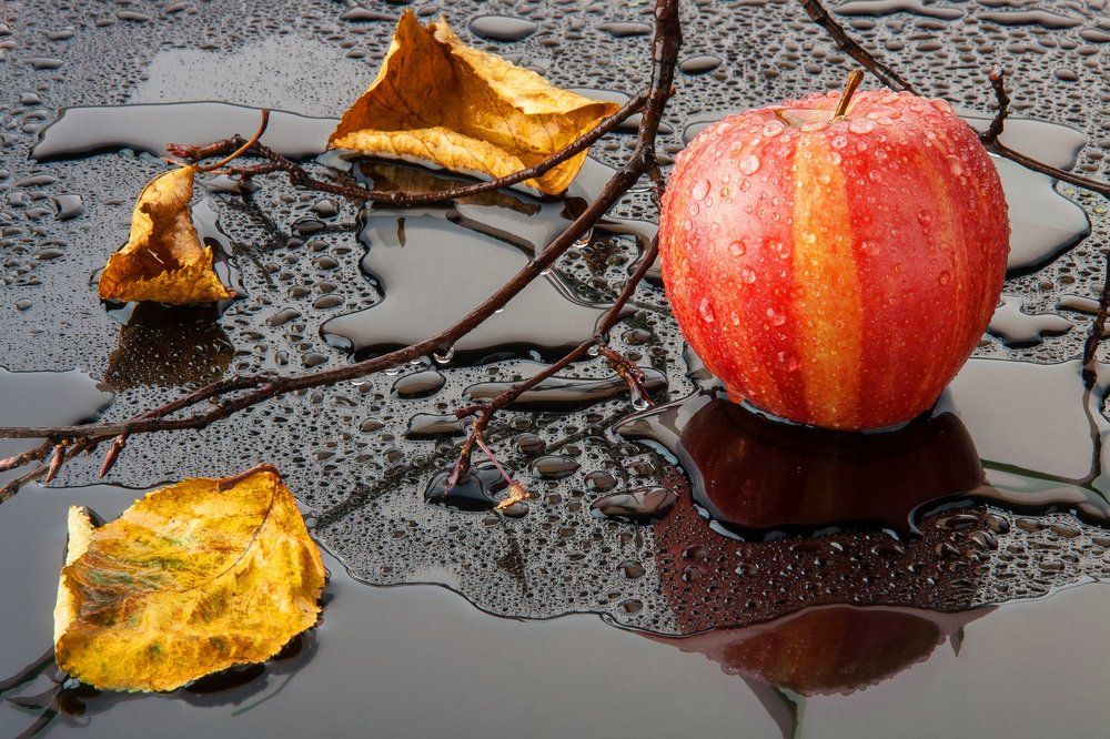 Осень. Яблоко.