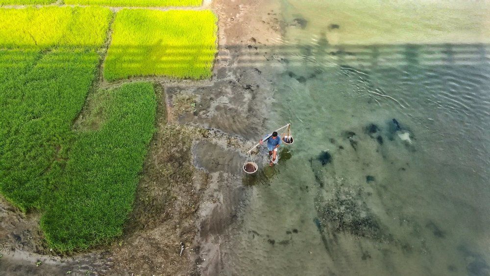 The Farmer
