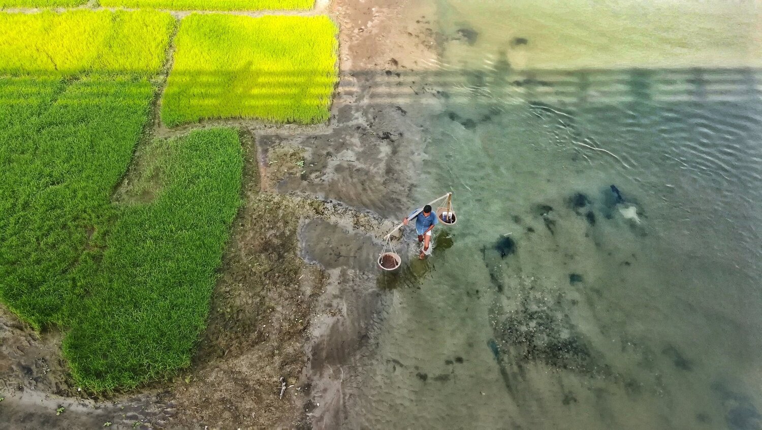 The Farmer