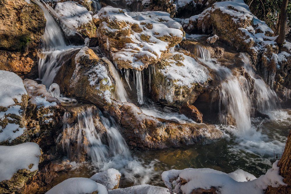 Крым. Зимний лес.