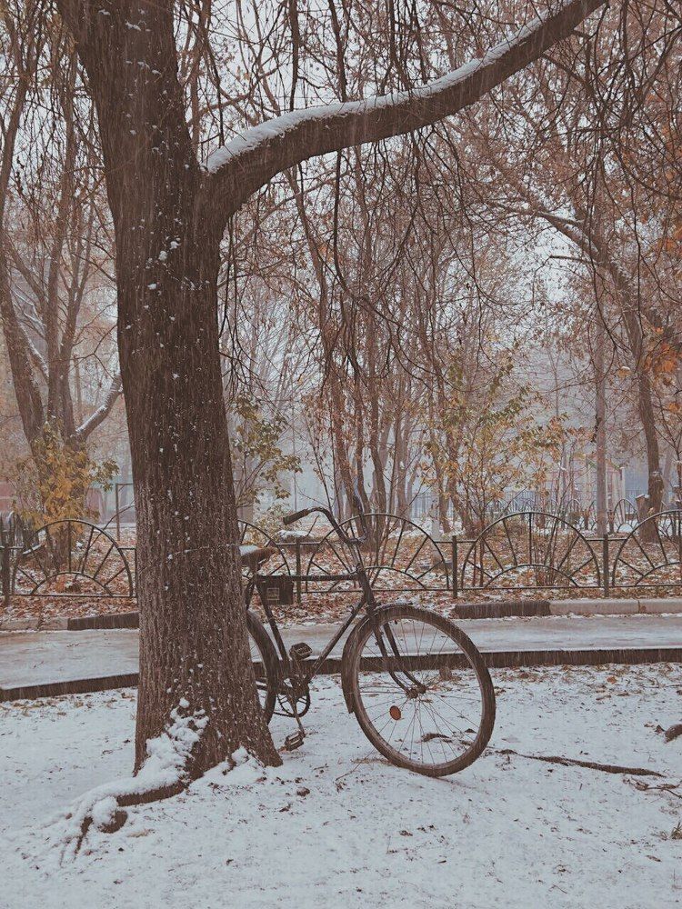 Осень ушла