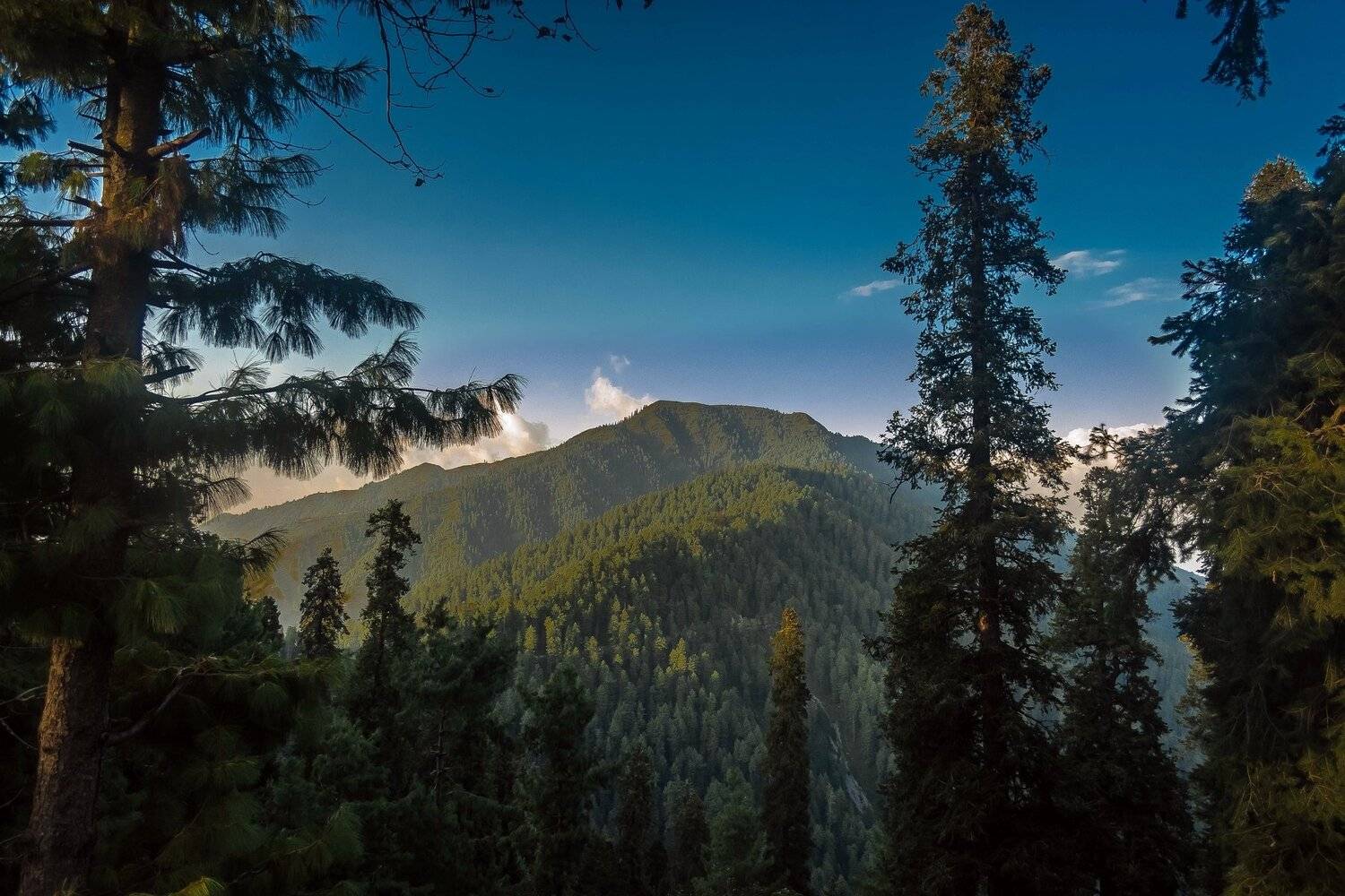 Nathia Gali,Pakistan