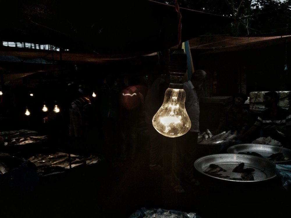 Light in the fish market