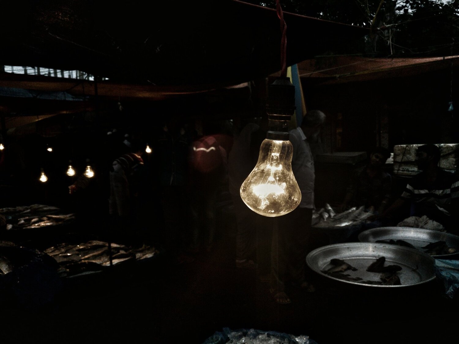 Light in the fish market