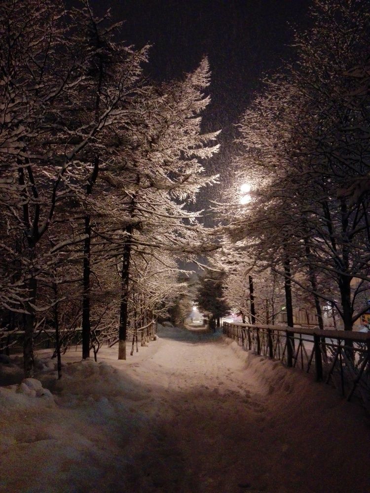 Зимним вечером