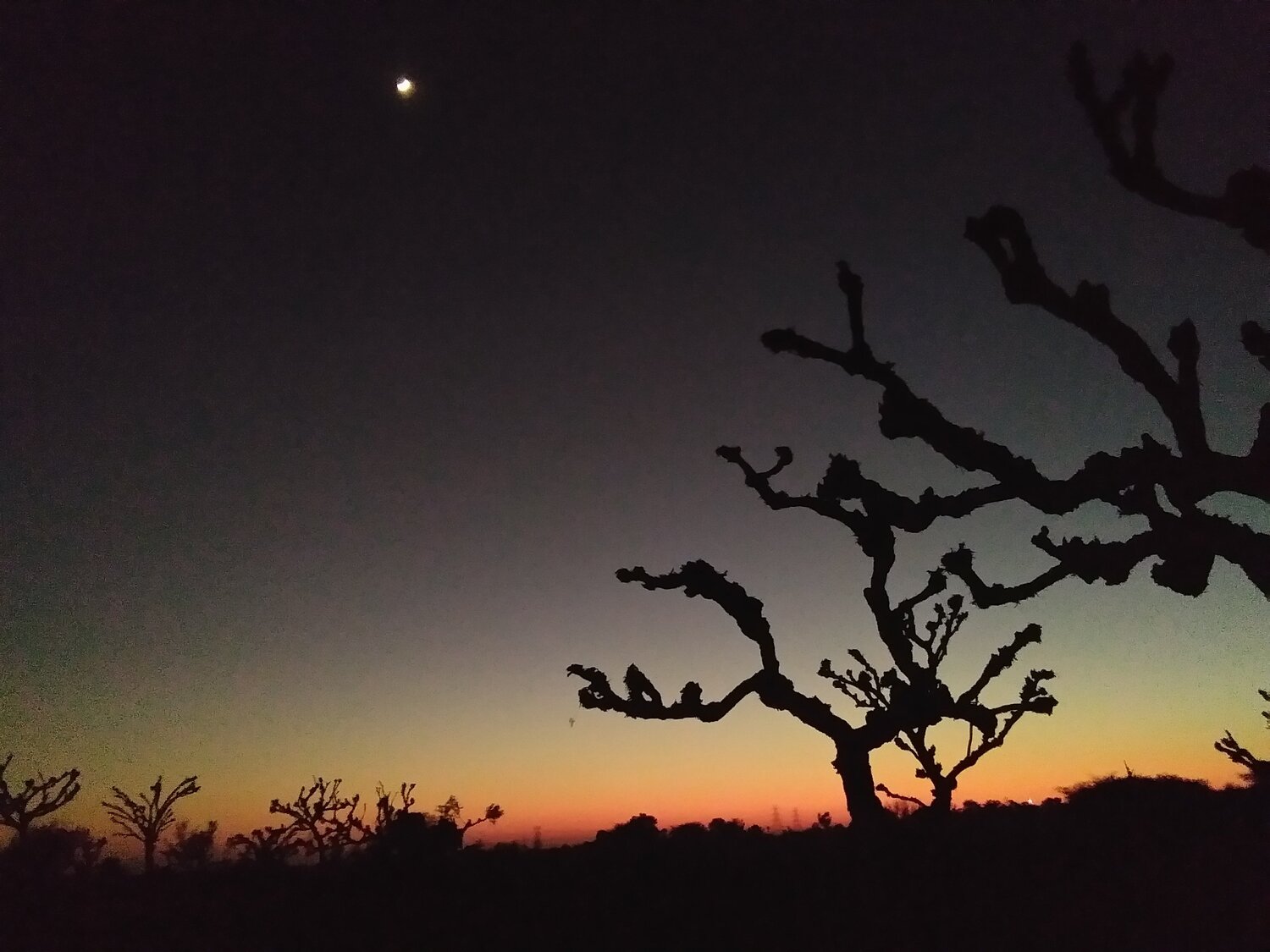 Dusk time