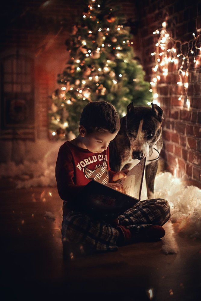 Photograph by Тарасова Ольга