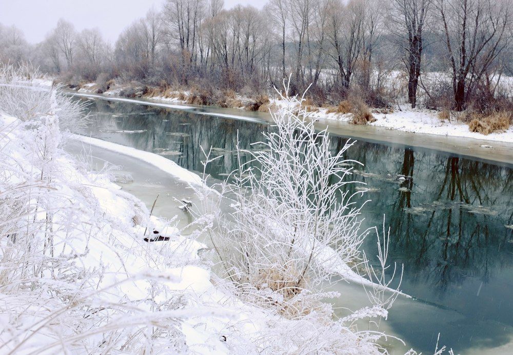 первый снег