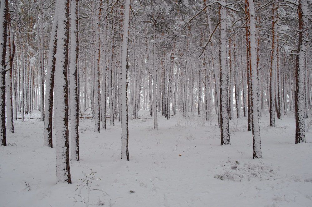 Photograph by Андрей