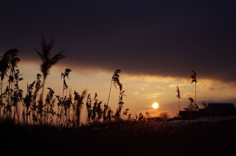 Photograph by Евгений