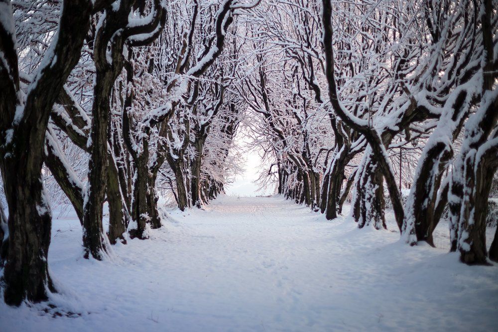 Photograph by Ольга