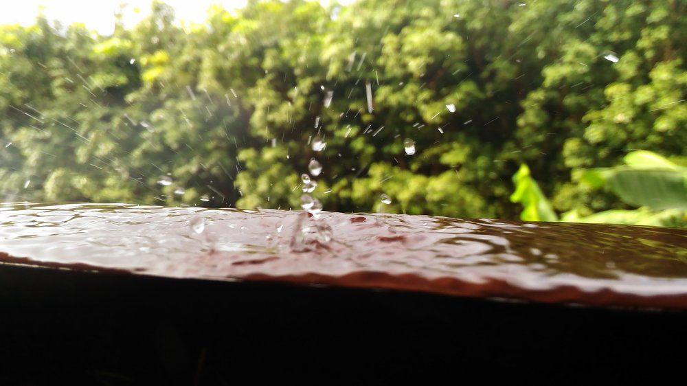 Raindrops