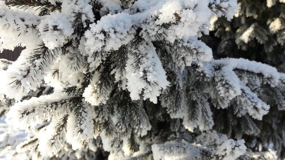 новогоднее убранство