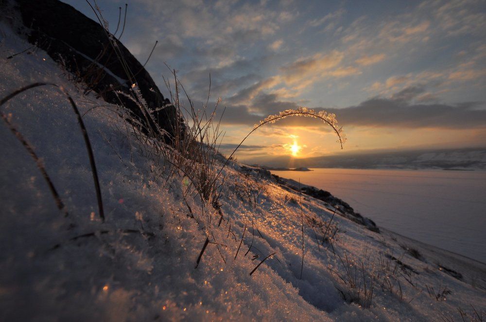 Photograph by Виктория Долотказина