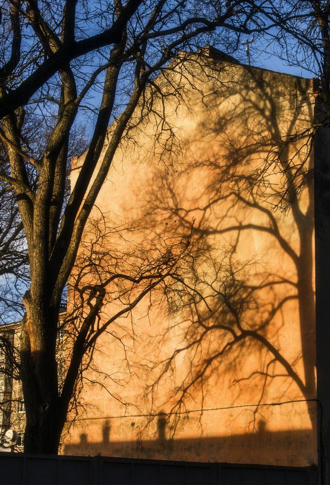 Тени заката