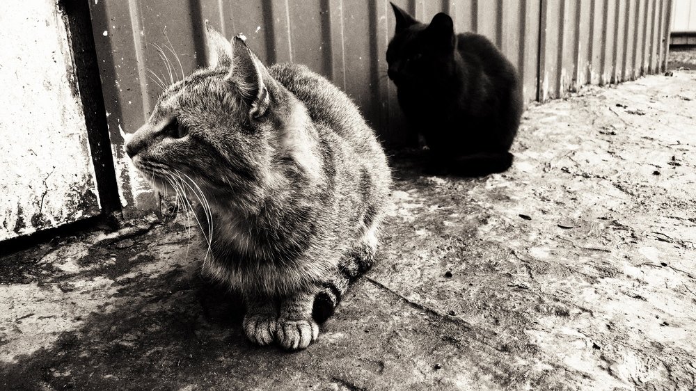 Photograph by Дмитрий