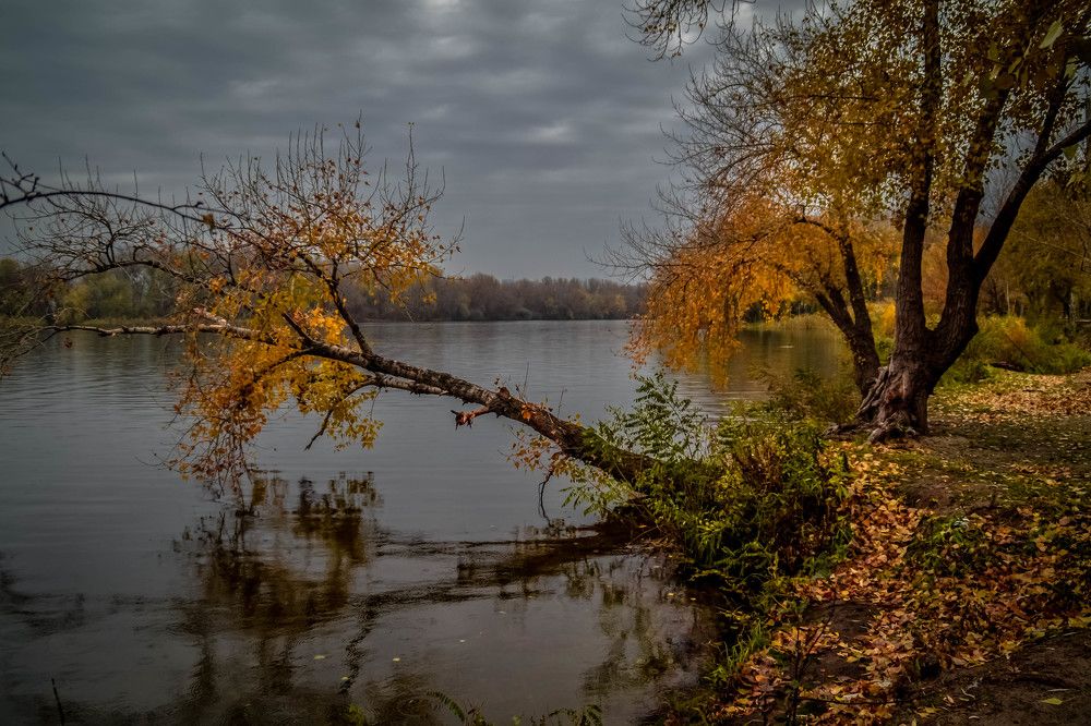 Осеннее,лирическое...