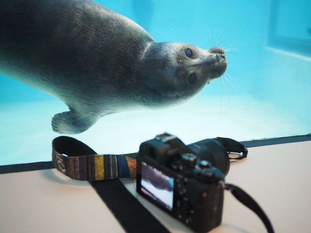 Мы за вами наблюдаем