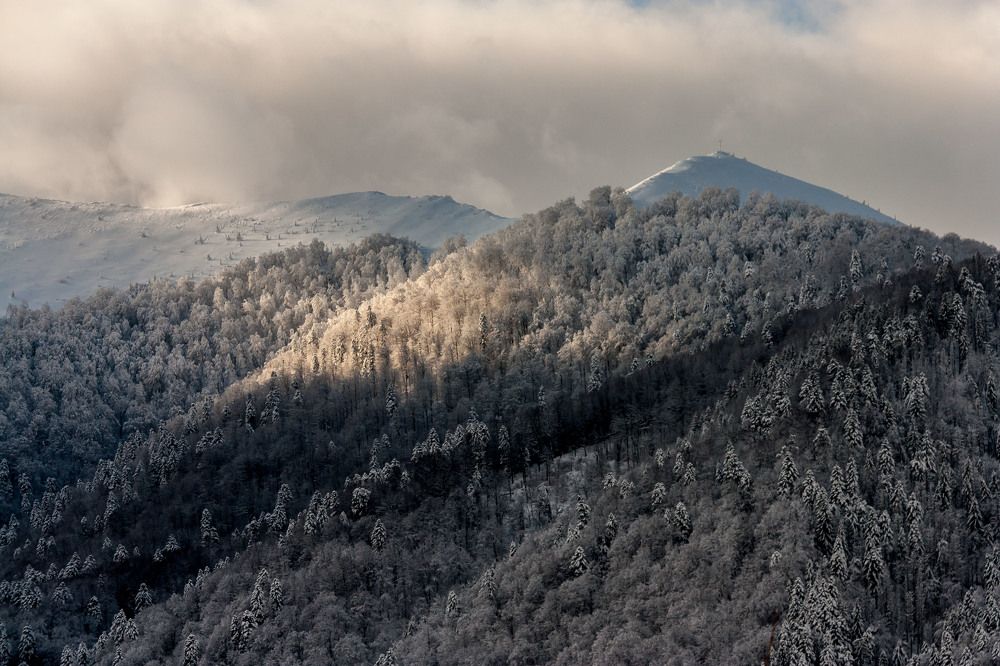 Утро в Карпатах