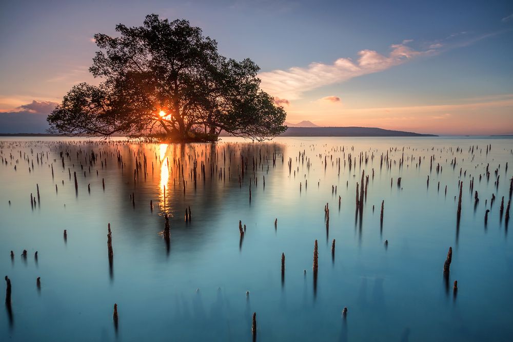 Sunsets at West Bali National Park