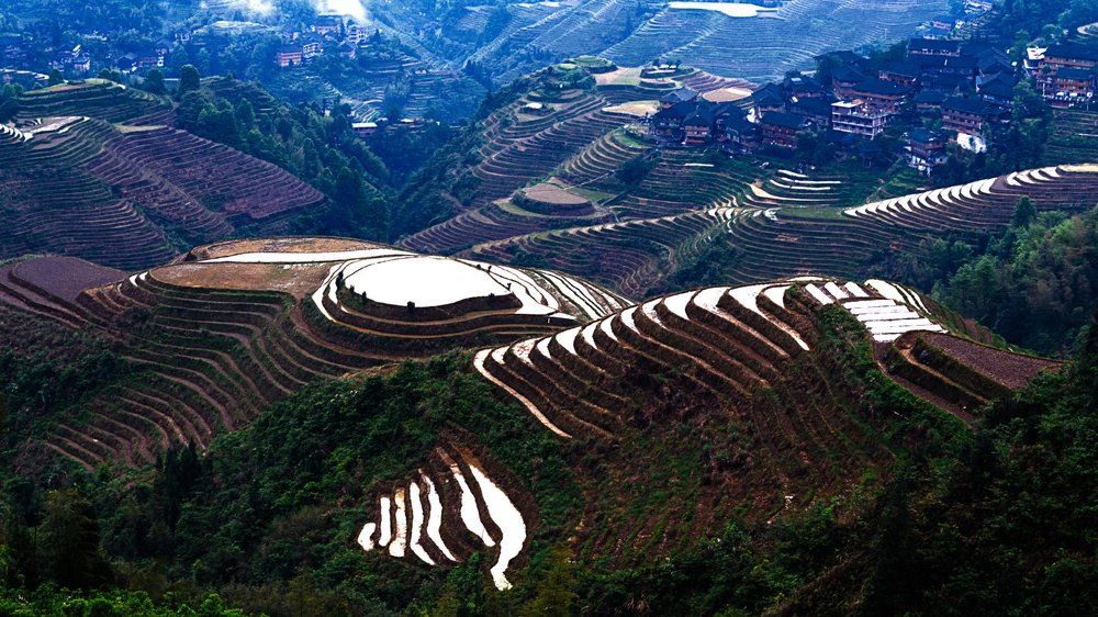 Холмистый край, рисовый рай