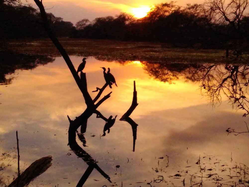 Rendezvous with nature