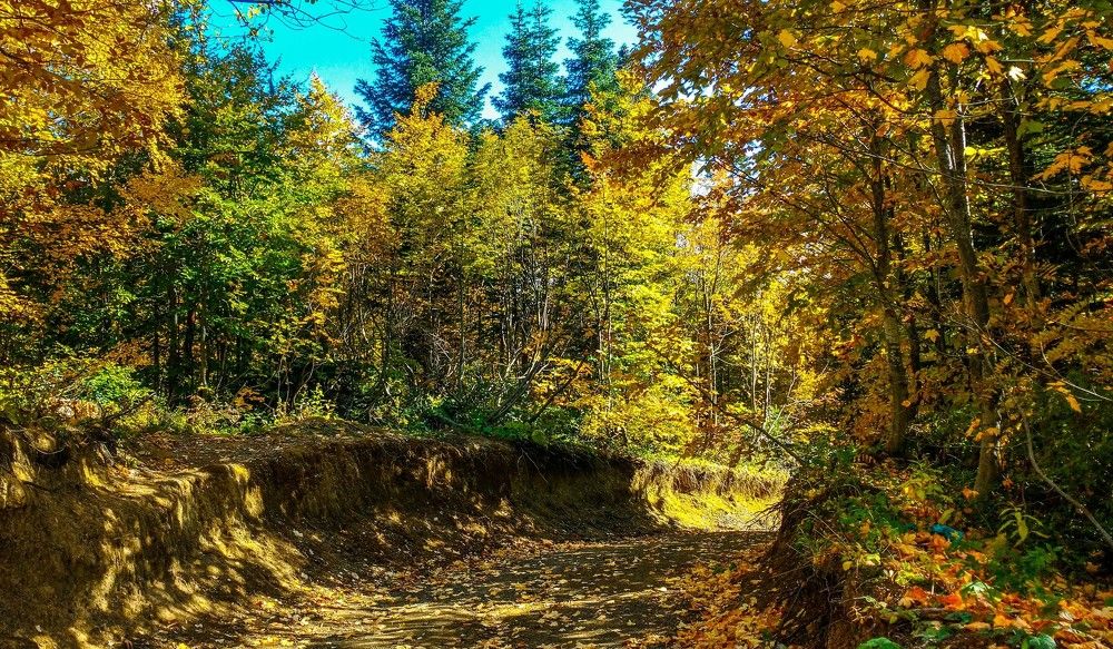 ГОРНЫЕ ЗАРИСОВКИ