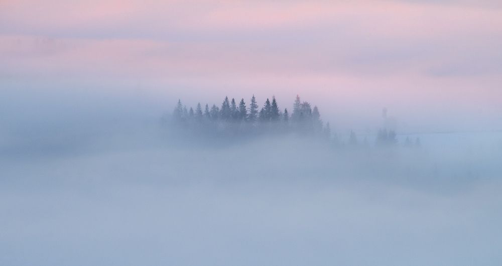 Photograph by Леонид Морозов