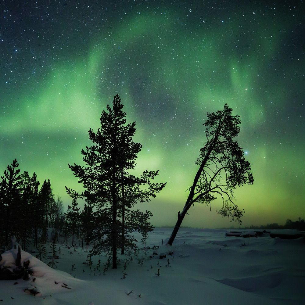 Уренгойские вечера