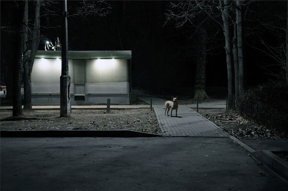 Предостережение