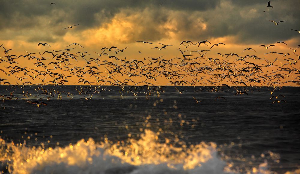 Движение - жизнь!