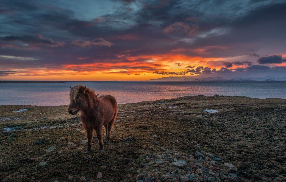 Исландский пейзаж