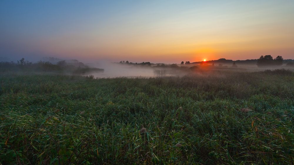 На утренней зорьке