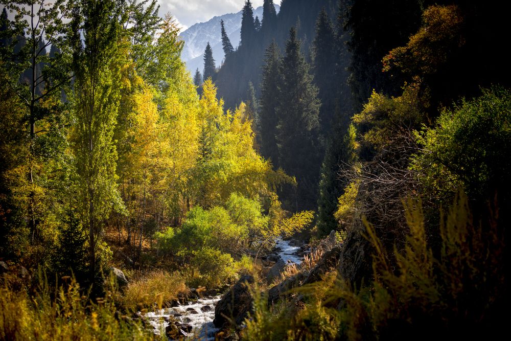 Осень в северном Тянь-Шане