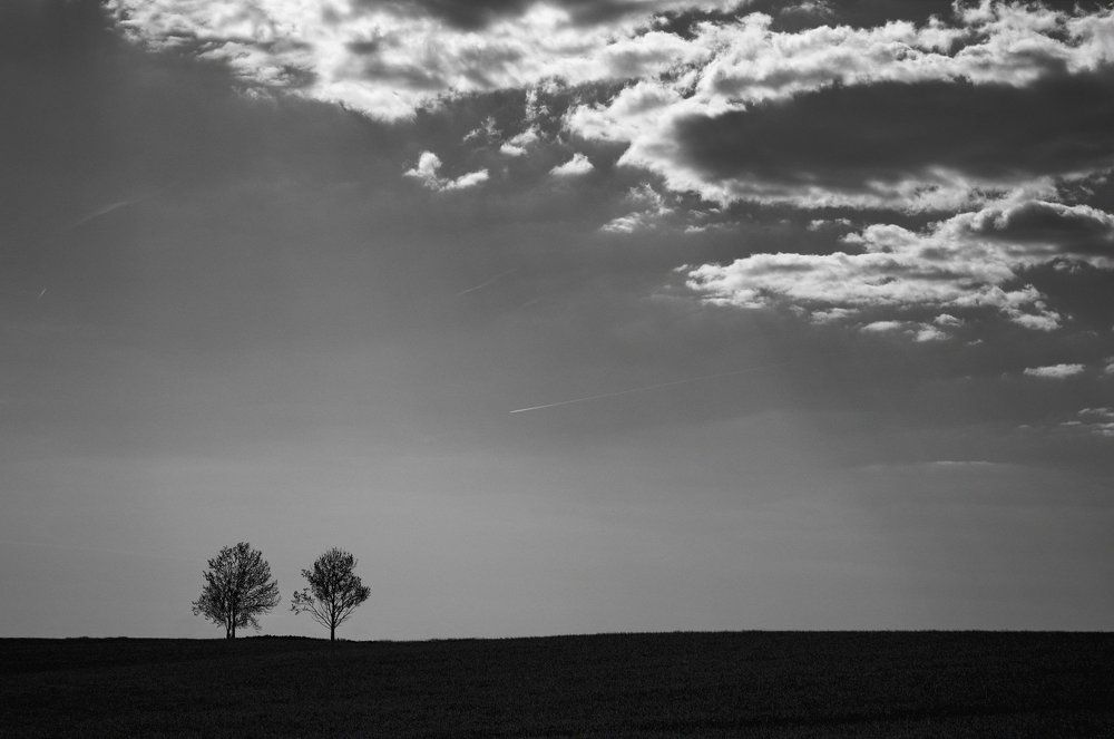 Лаконичность