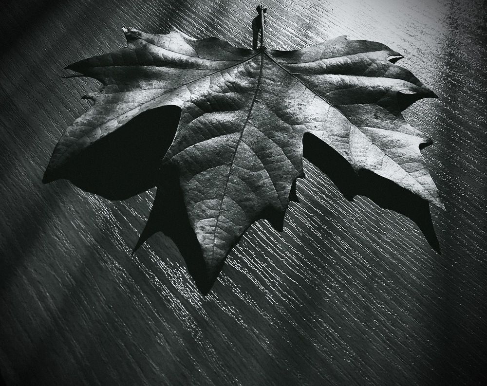 Photograph by Ruzanna