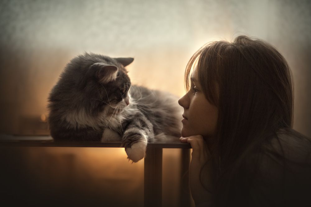 Разговор без слов