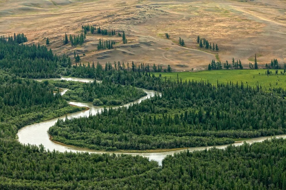 Линия жизни