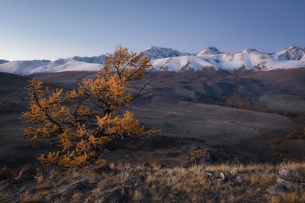 Вечер в Курае