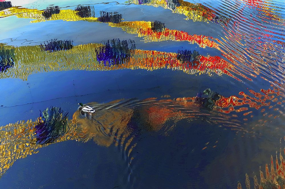 Живопись на воде