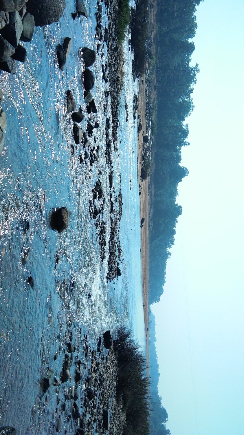 the river of life