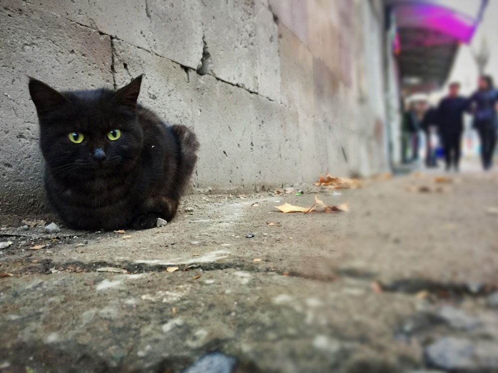 Photograph by Ruzanna