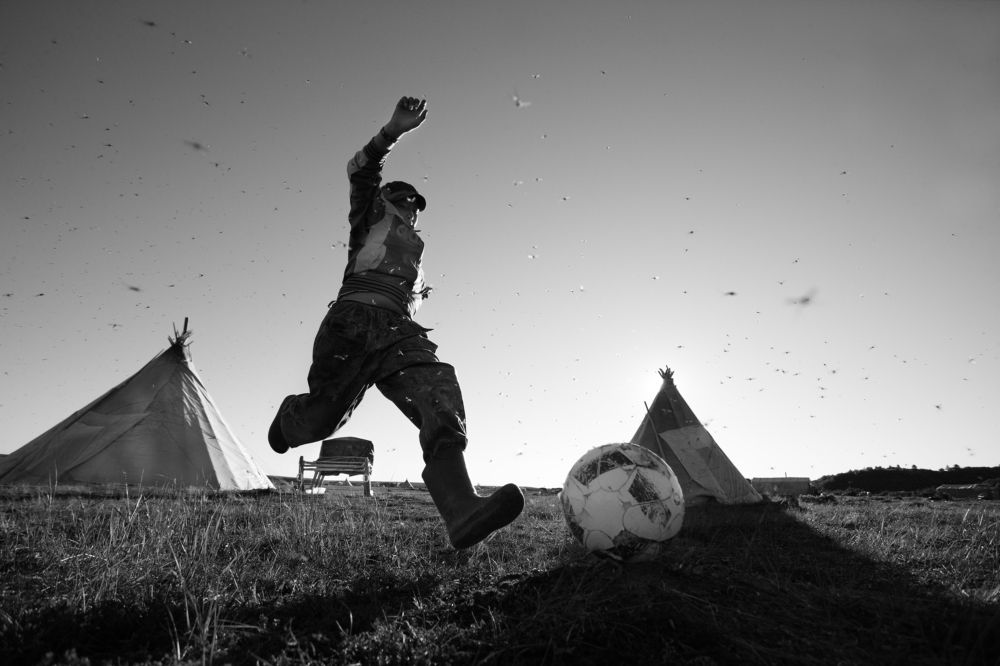 Футбол с комарами