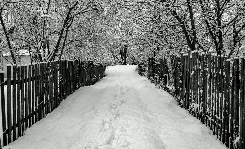 Photograph by MARINA FADEEVA