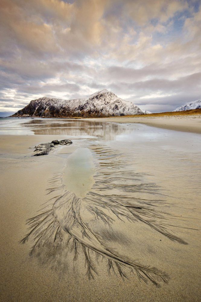 Lifelines in Skagsanden Beach