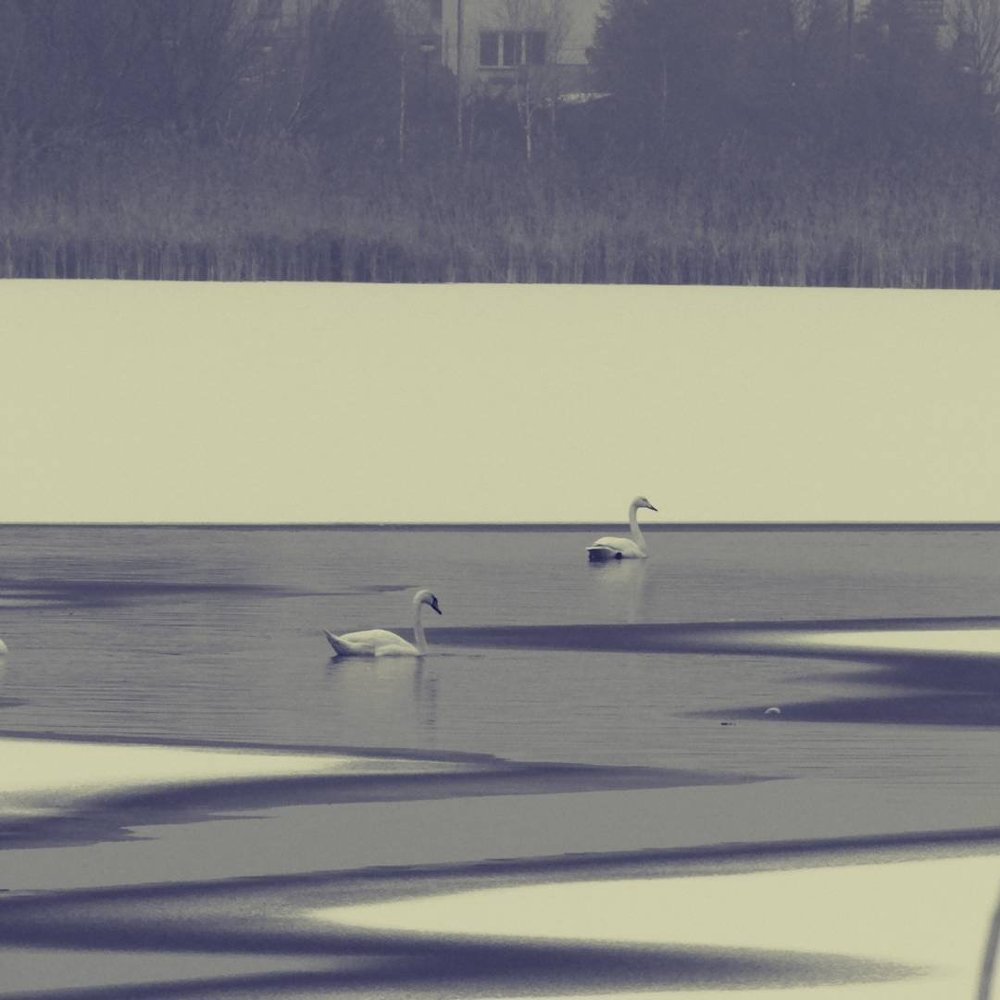 Фотография автора Vitalii Neborak